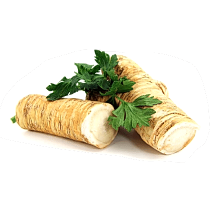 Horseradish