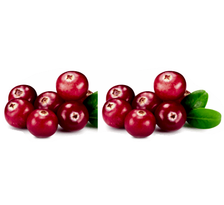 Cranberries