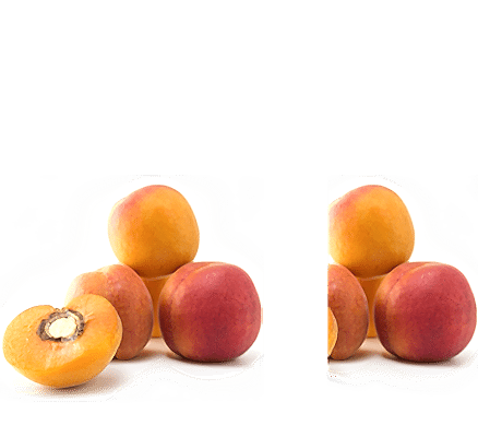 Apricot