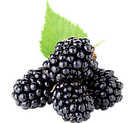 Blackberries