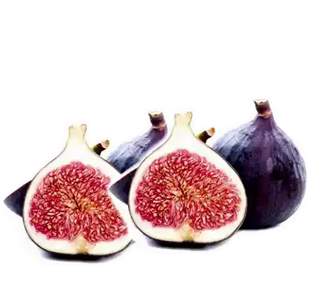 Figs
